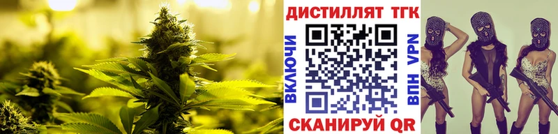 ТГК гашишное масло  Новая Ладога 