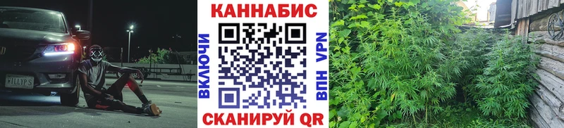Бошки Шишки марихуана MEGA онион Новая Ладога